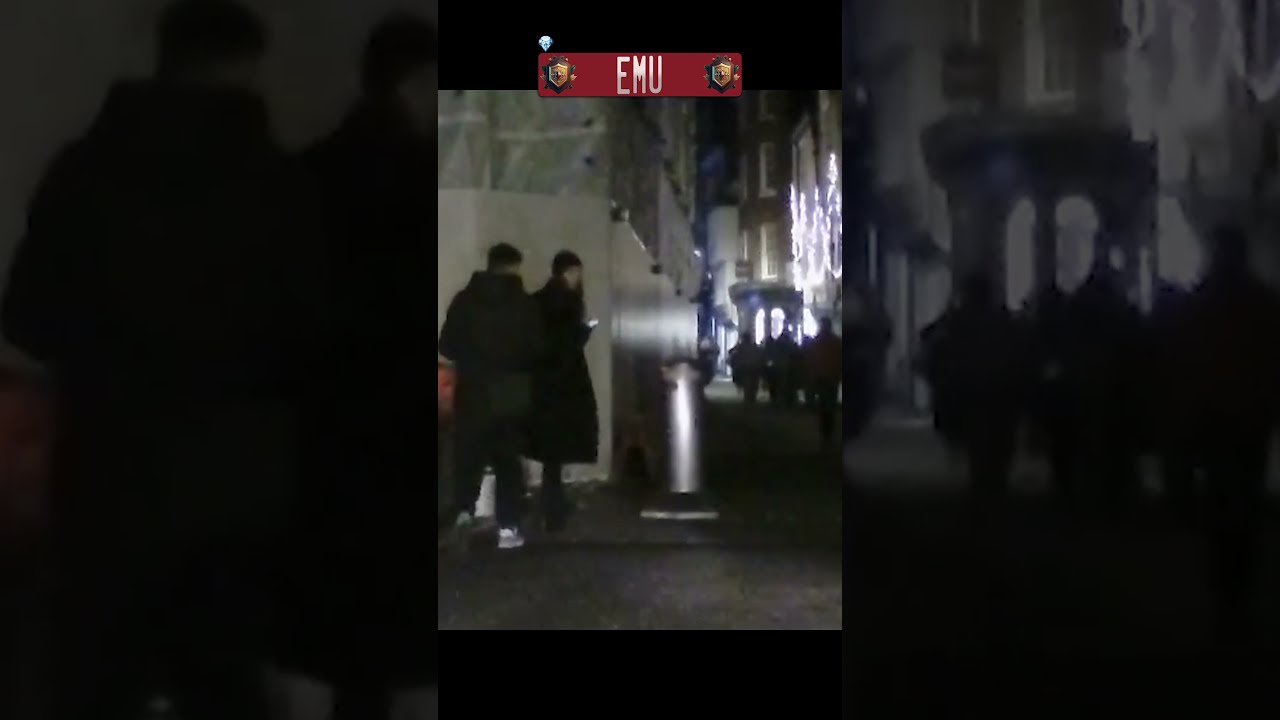 Sentient Bollard vs Pedestrian!!