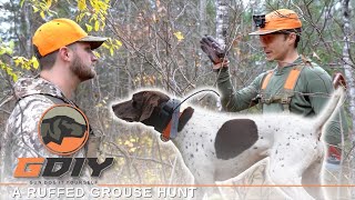 A Ruffed Grouse Hunt