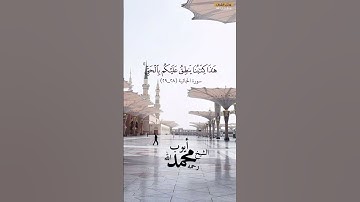 سورة الجاثية (٢٨_٢٩) |بصوت الشيخ محمد أيوب رحمه الله
