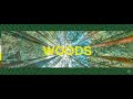 Justin Martin, Sea Of Bees - Woods(Narcis Remix)