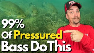 You'll Never Wonder Where Bass Went Again  See Proof Underwater
