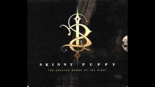 Skinny Puppy - Ghostman