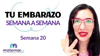 Semana 20 | Tu embarazo semana a semana | Maternar.co screenshot 5