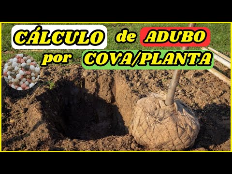 COMO CALCULAR A QUANTIDADE DE ADUBO POR PLANTA/COVA?