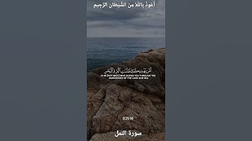 🌺القرآن الكريم 🌺ما تيسر من سورة النمل