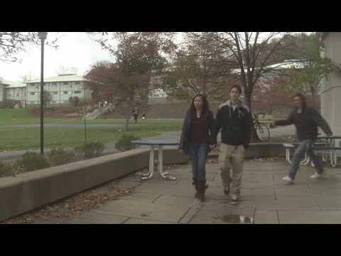 You Me Steve Music Video 