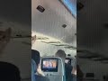 Loose Cat Holds Up Delta Flight New York to Texas