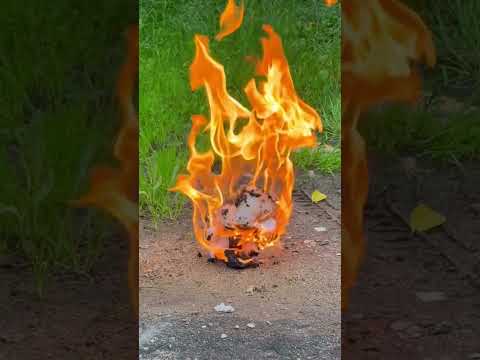 ЛАБУБУлинг // ЛАБУБА против физики: кто кого? // ОГОНЬ #лабубулинг #лабуба #labubu #labuba