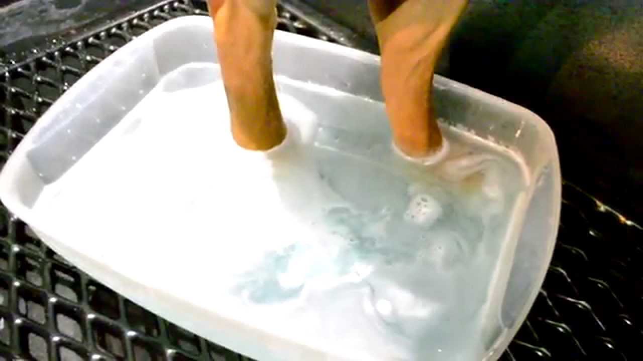 Warren London Fizzing Paw Tablets