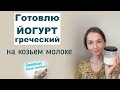 Домашний йогурт для восстановления микрофлоры кишечника.