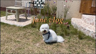 주말만 기다리는 애 | vlog | 양양 욜스테이 | 이사한 날 | 휴일 데이트