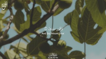 Surah At-Tin | سورة التين Arabic and English Translation