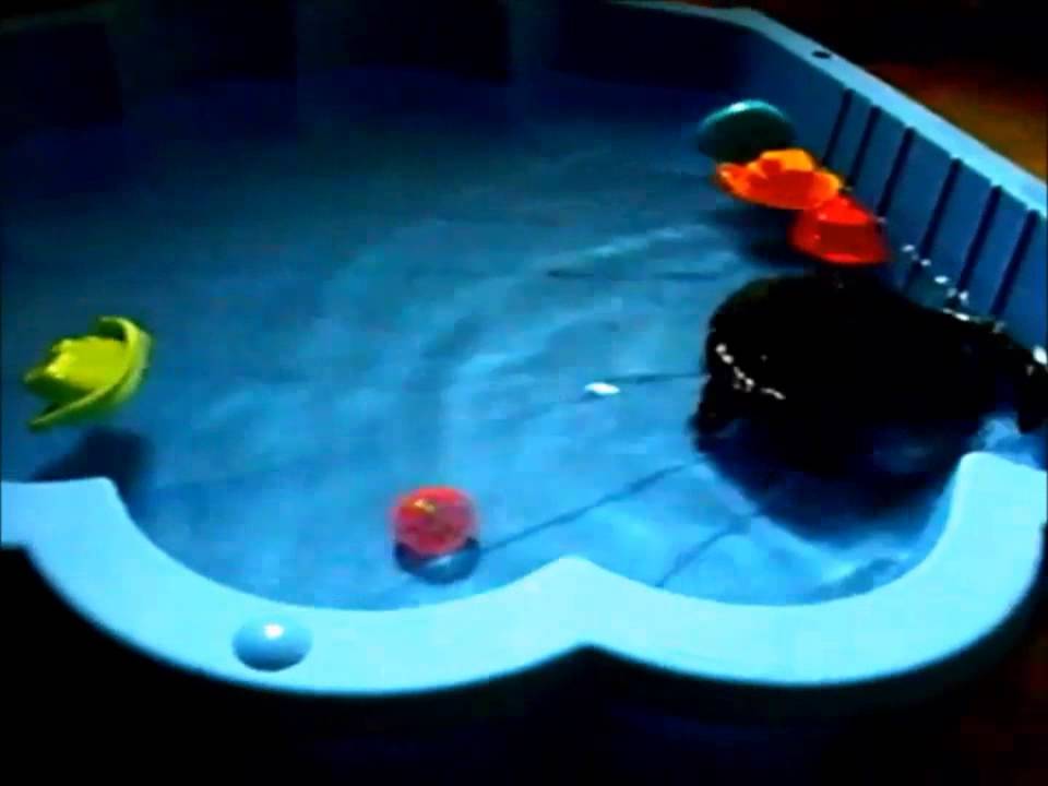 Bretzel le vison b?�b?� dans la piscine coquillage - YouTube