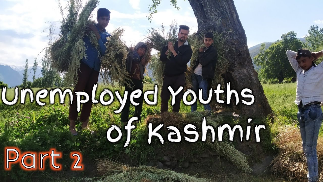 essay on unemployment in kashmir