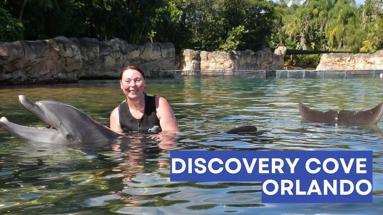 Discovery Cove Orlando 🐬 | Плавание с дельфинами в самом спокойном парке Флориды