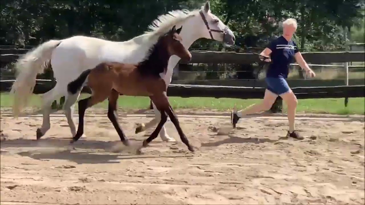 HF2022 Morricone Donnerhall