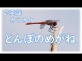 童謡 カラオケ「とんぼのめがね」 歌詞字幕 ルビ付き