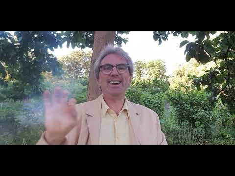 Vitalstofftherapie: Mein Fachwissen kompakt