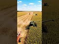 🌽 "Epic Corn Harvest with Multiple Tractors!"