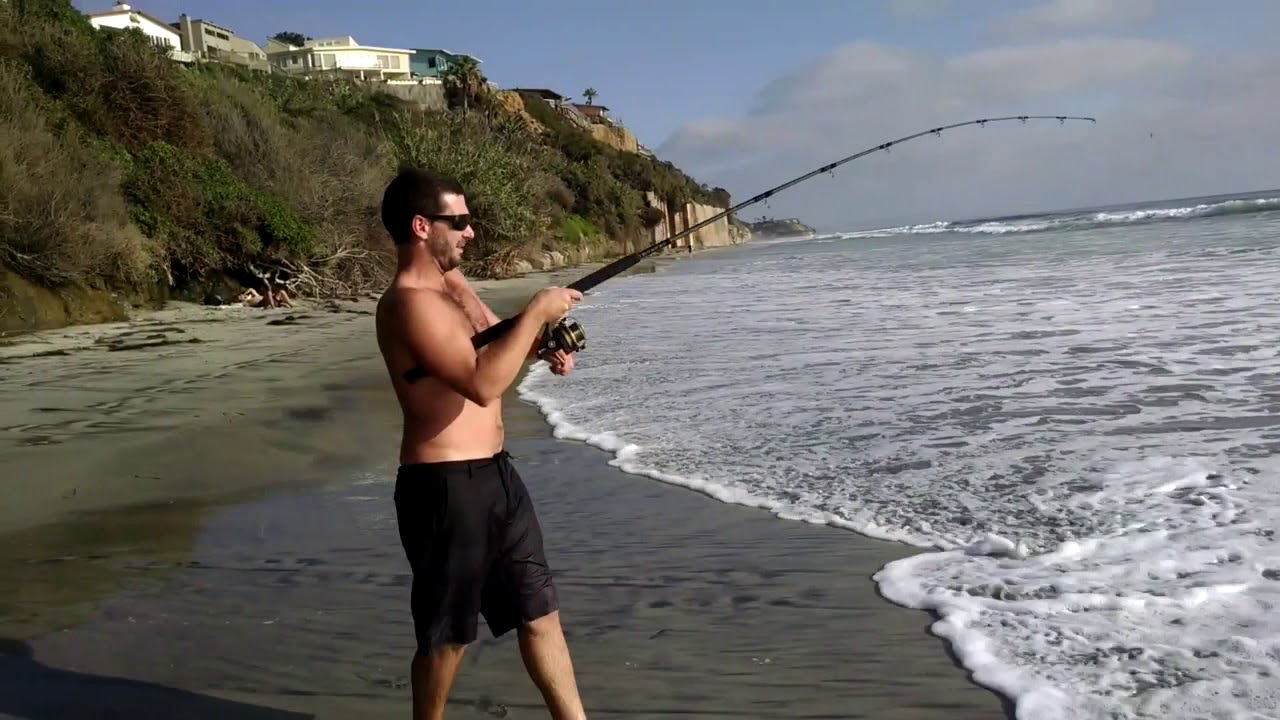 Leopard Shark Surf Fishing San Diego YouTube