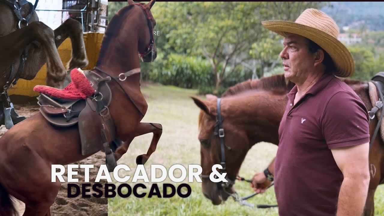 Creemos en el caballo❌🐴 Caballo  retacador y peligroso - e4