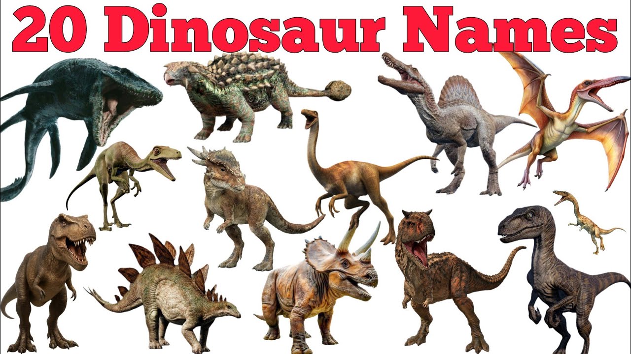 Learn 20 Dinosaur Names In English & Hindi With Fun Facts | Fun Learning For Children