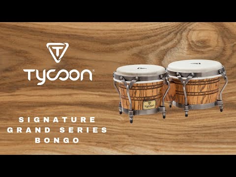 signature-grand-series-bongo---demonstration-by-kalani-das,-tycoon-artist