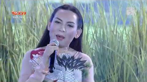 Giấc Mơ Cánh Cò - Phi Nhung | Đại nhạc hội 10 năm IMC