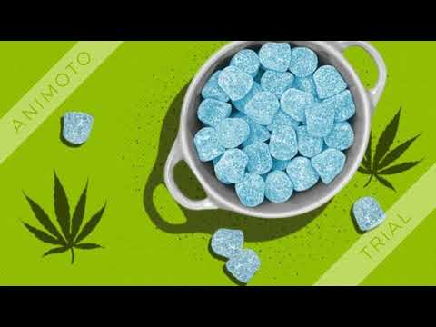 Cbd Gummies Dr Oz Price Benefits Cbd Gummies Uses Ingredients Purchase