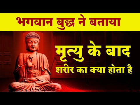 वीडियो: बुद्ध के हाथ का उपयोग कैसे किया जाता है