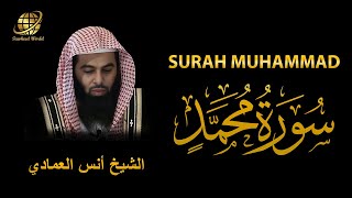 Surah Muhammad | Sheikh Anas Al Emadi | سُوْرَۃ  محمد |  الشيخ أنس العمادي