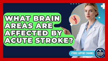 What Brain Areas Are Affected By Acute Stroke? - Stroke Support Channel