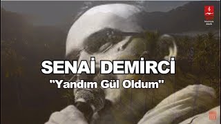 SENAİ DEMİRCİ  \