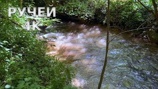 Шум ручья – природный звук воды для релаксации | 10 минут | 4K видео
