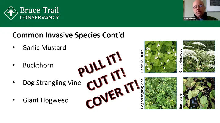 Webinar - Native & Invasive Plants in Your Backyard