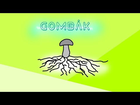 Videó: A gombák egysejtűek?