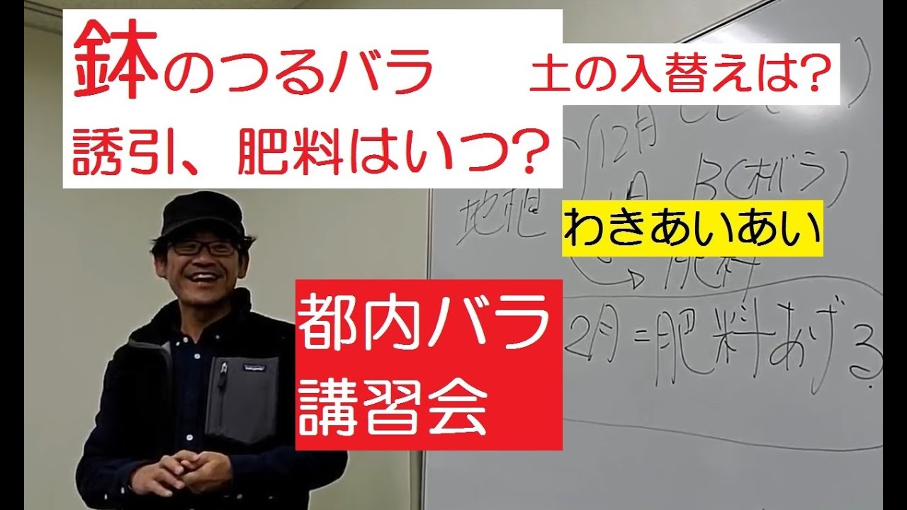 鉢のつるバラ 土の入れ替えは 肥料の時期は お答えしてきました 都内バラ講習会です Youtube