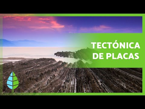 Video: ¿Qué se entiende por levantamientos tectónicos?