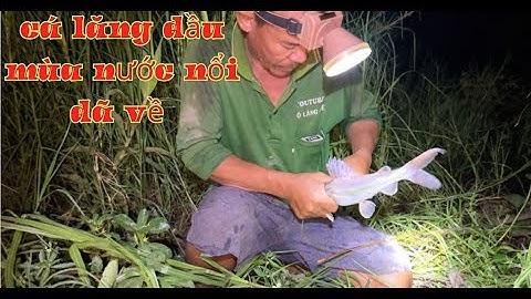 TẬP.86.cá lăng đầu mùa nước nổi đã về/cắm câu đồng cam/GIÓ LÀNG QUÊ