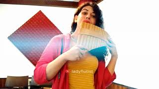 Caravansary By Kitaro  Pan Flute  Panpipes  Cover