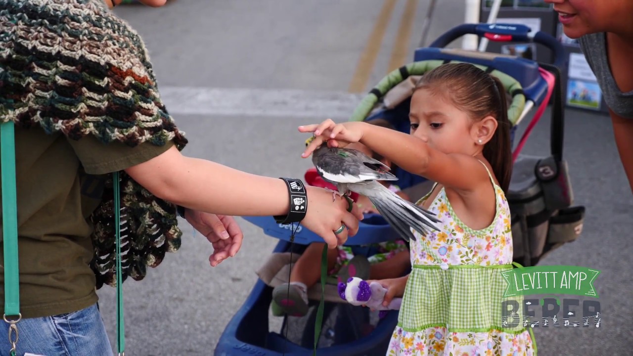 Help Berea, KY win a Levitt AMP Music Series grant for 2019!