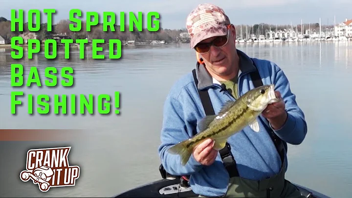 Top Early Spring Crankbait Patterns for Bass – Crank It Up