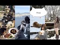 Miyagi trip vlog: fox village, cat island (tashiro-jima), sendai, gyutan, etc 🦊🌨️ 宮城 japan