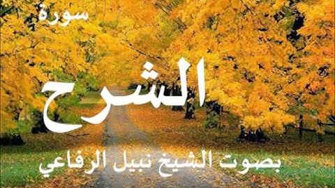 سورة الشرح بصوت الشيخ   نبيل الرفاعي 94