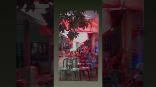 #musik #cover #music #foryou #shorts #viral #trending #xybca