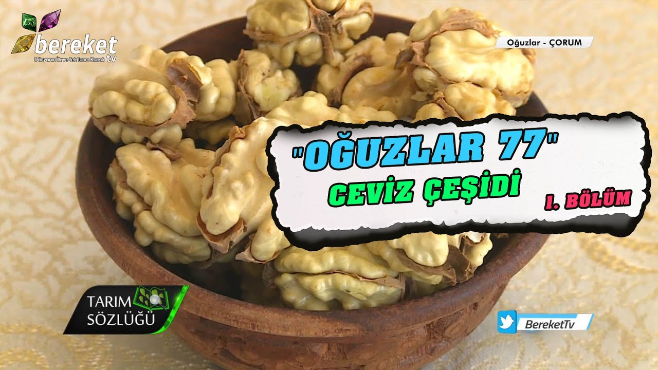 Tarım Sözlüğü | 