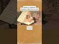 30 Days Building a Cabin