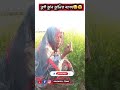 হ সব ন ন ঝ ন ঝ ন মত ত ই Ansarul Zone 