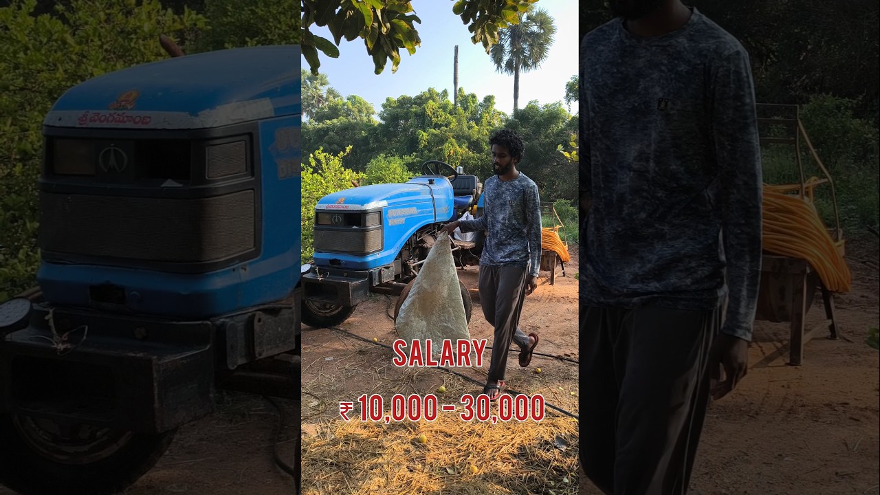 🤩 మా తమ్ముడికి job దొరికింది ఇంటి దగ్గర నుంచే చేసుకునేలా | మీకు కావాలి అనుకుంటే ఆ నంబర్స్ కి  కాల్