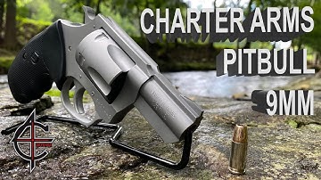 Cover Image for Charter Arms Pitbull 9mm